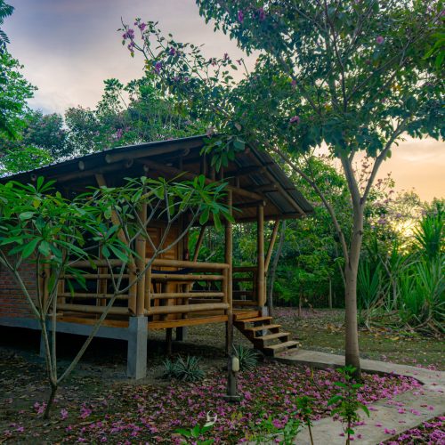 Copia de sin título-